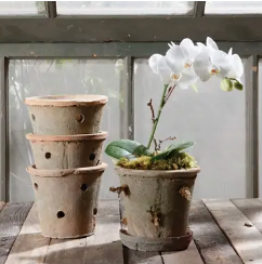 Orchid Pot Terra Cotta
