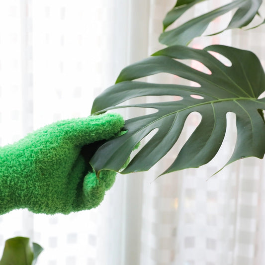 Microfiber Gloves by Mossify