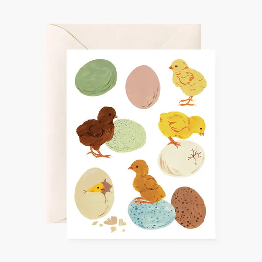 Spring Baby Chicks |  Greeting Card