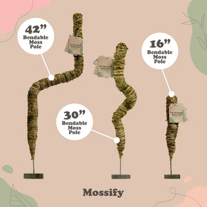 Bendable Moss Poles by Mossify
