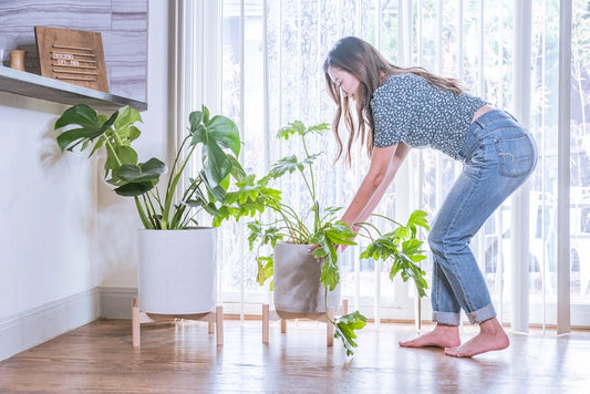 Low and Wide Plant Stands