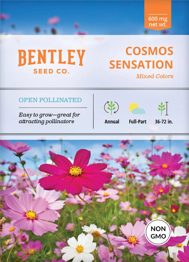 Flower Seeds