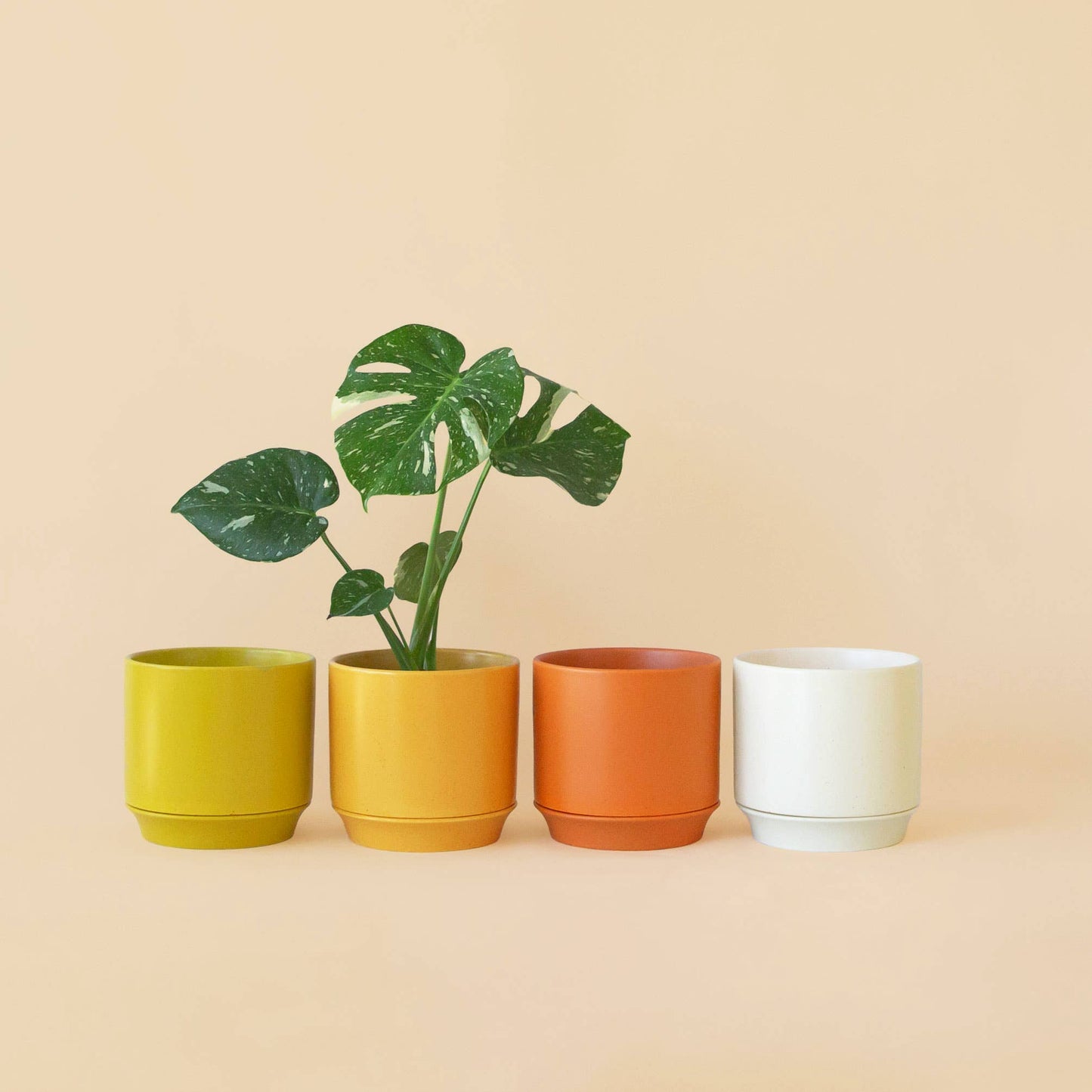 Parker Planter | with Trivet