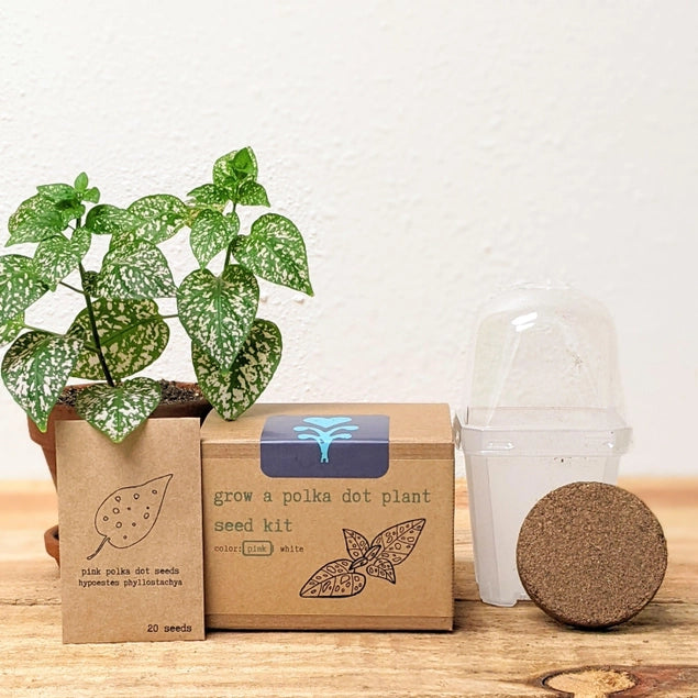 Seed Kits by Plantflix