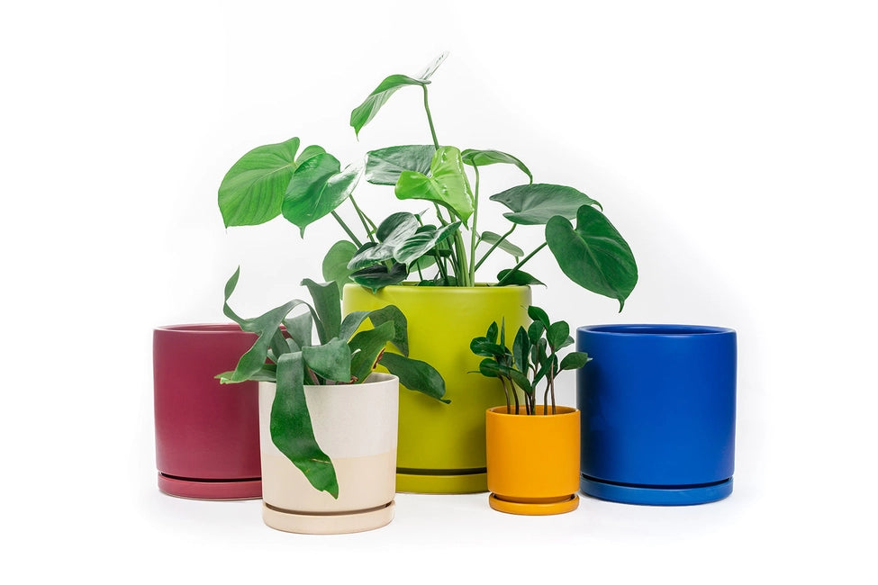 Cylinder Pot by Momma Pots