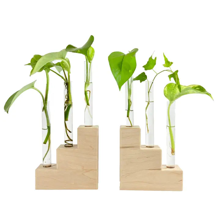 Riser Propagation Station Trio