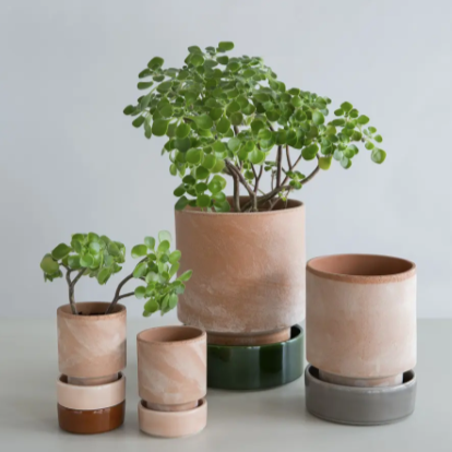 Bergs Hoff Pot