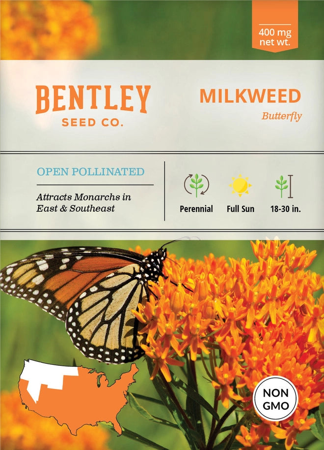 Flower Seeds