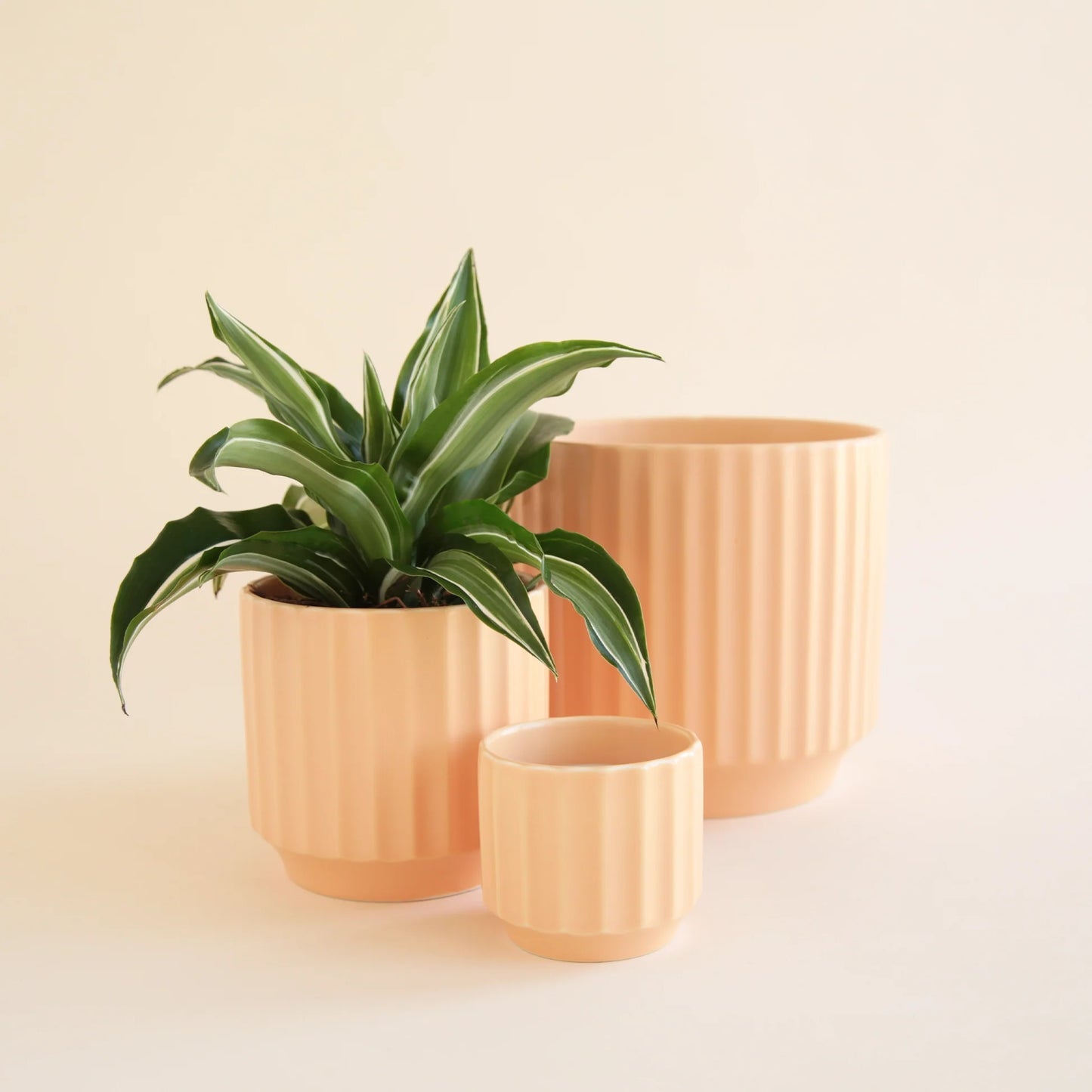 Monroe Planter | 3 to 6.75 inch