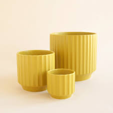Monroe Planter | 3 to 6.75 inch