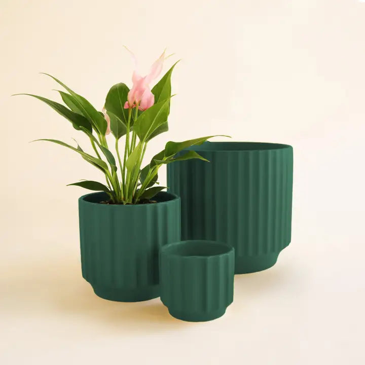 Monroe Planter | 3 to 6.75 inch