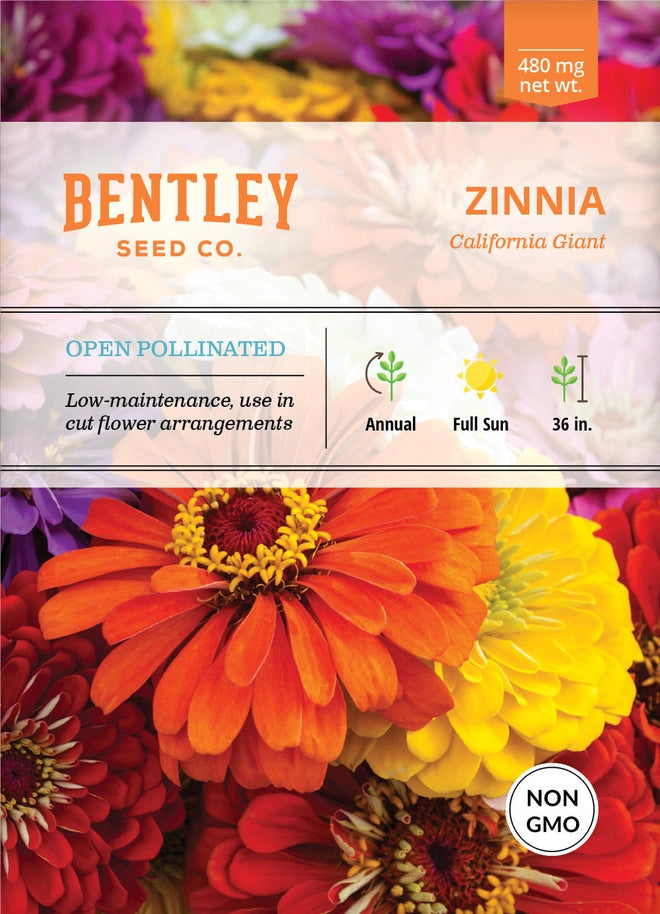 Flower Seeds