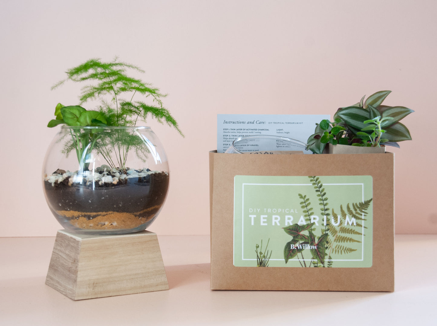 DIY Tropical Terrarium Kit