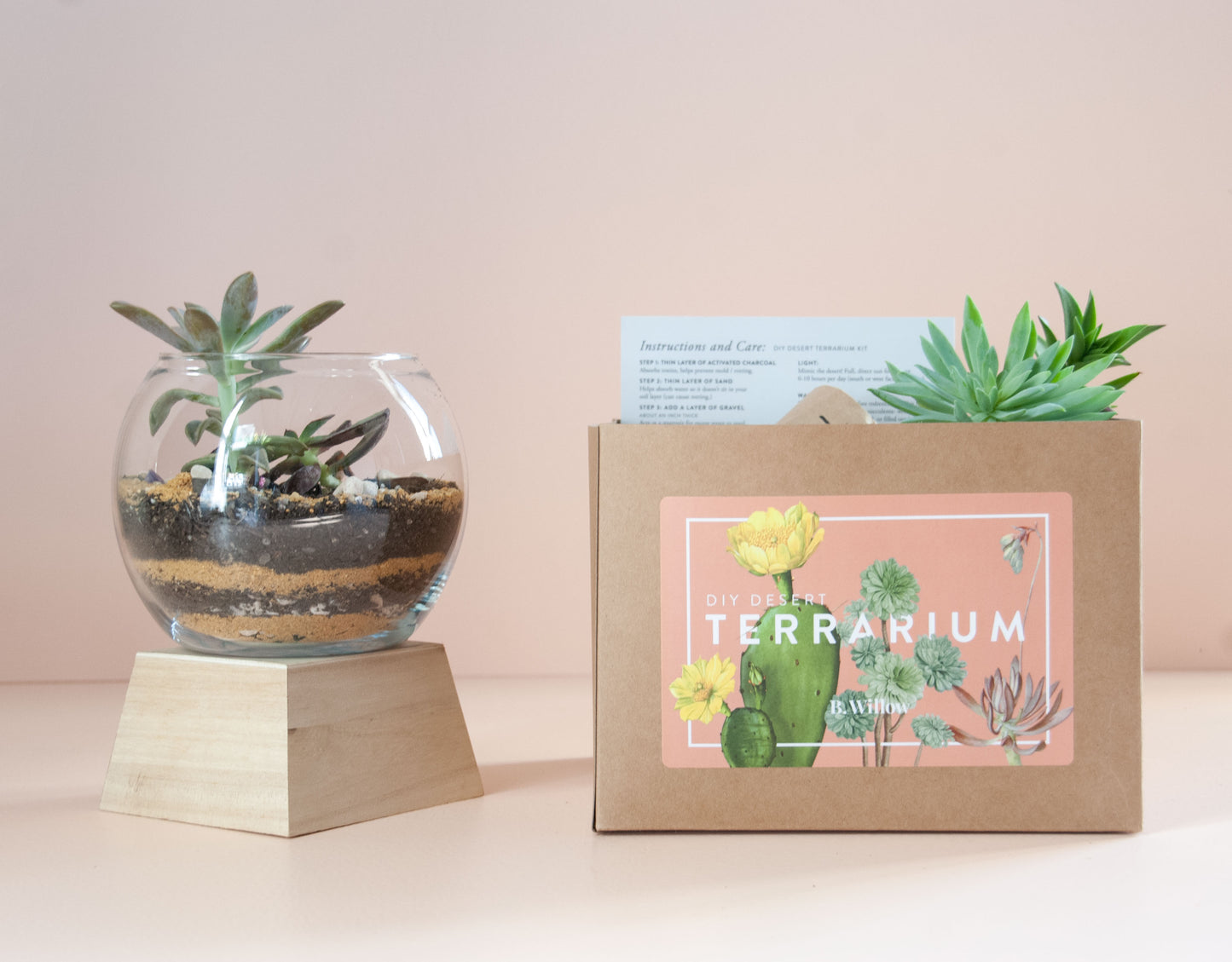 DIY Desert Terrarium Kit