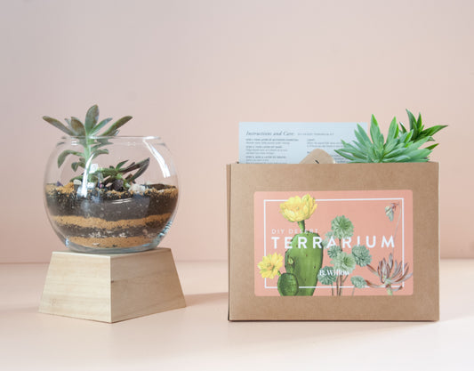 DIY Desert Terrarium Kit