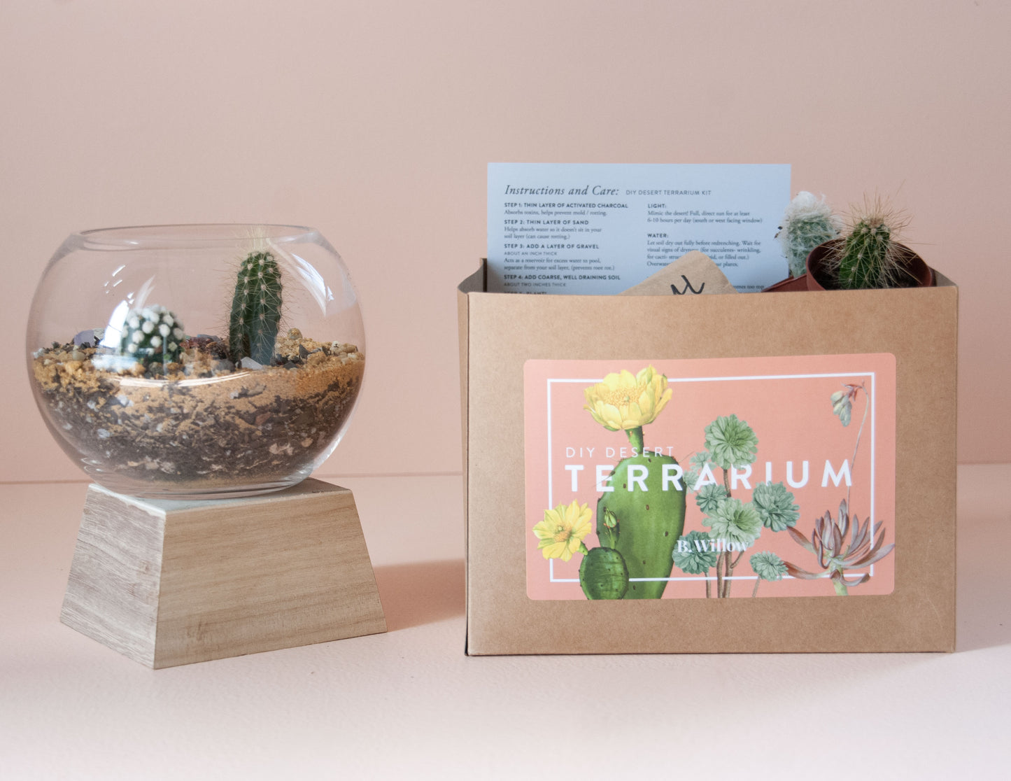 DIY Desert Terrarium Kit