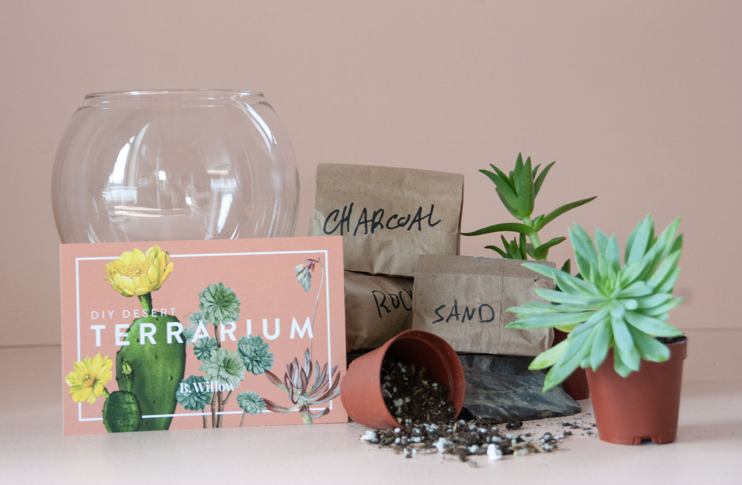 DIY Desert Terrarium Kit