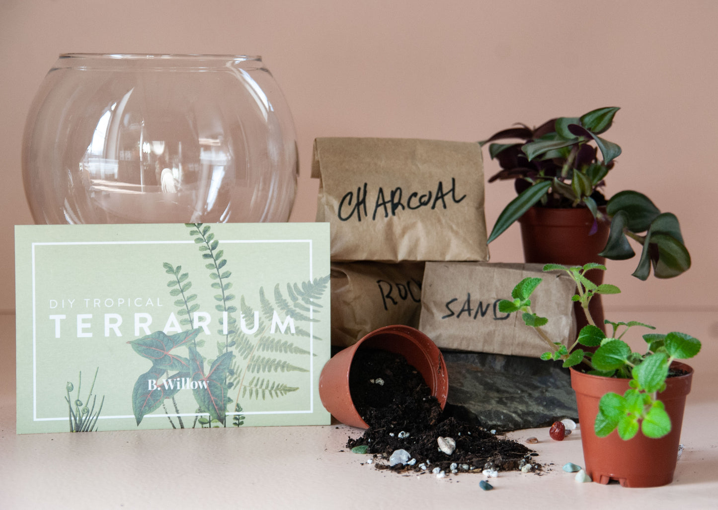 DIY Tropical Terrarium Kit